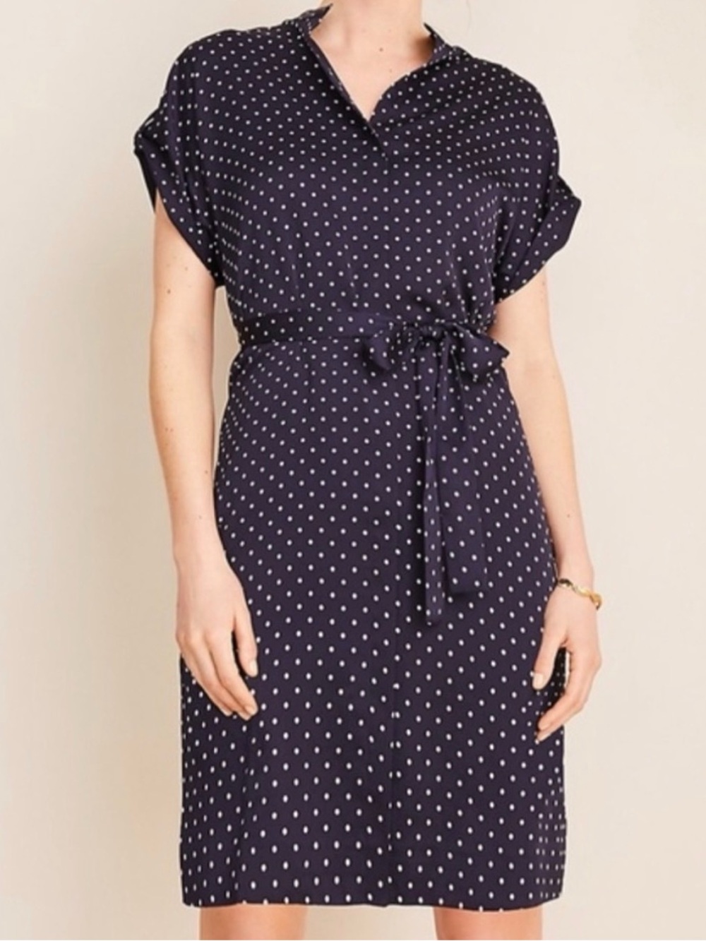 Ann Taylor Polka Dot Belted Dress